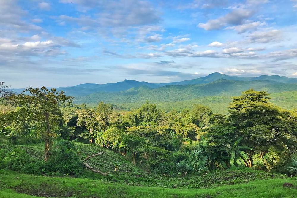 Chebera Churchura National Park